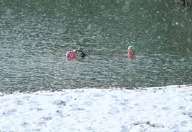 Boxing Day Swim