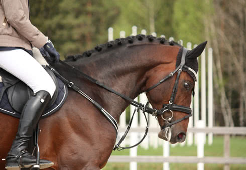 Framlingham Horse Show