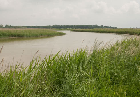 Walk from Snape Maltings to Iken