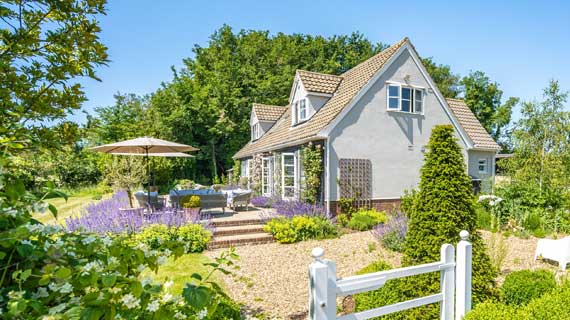 Thinking of letting your property?